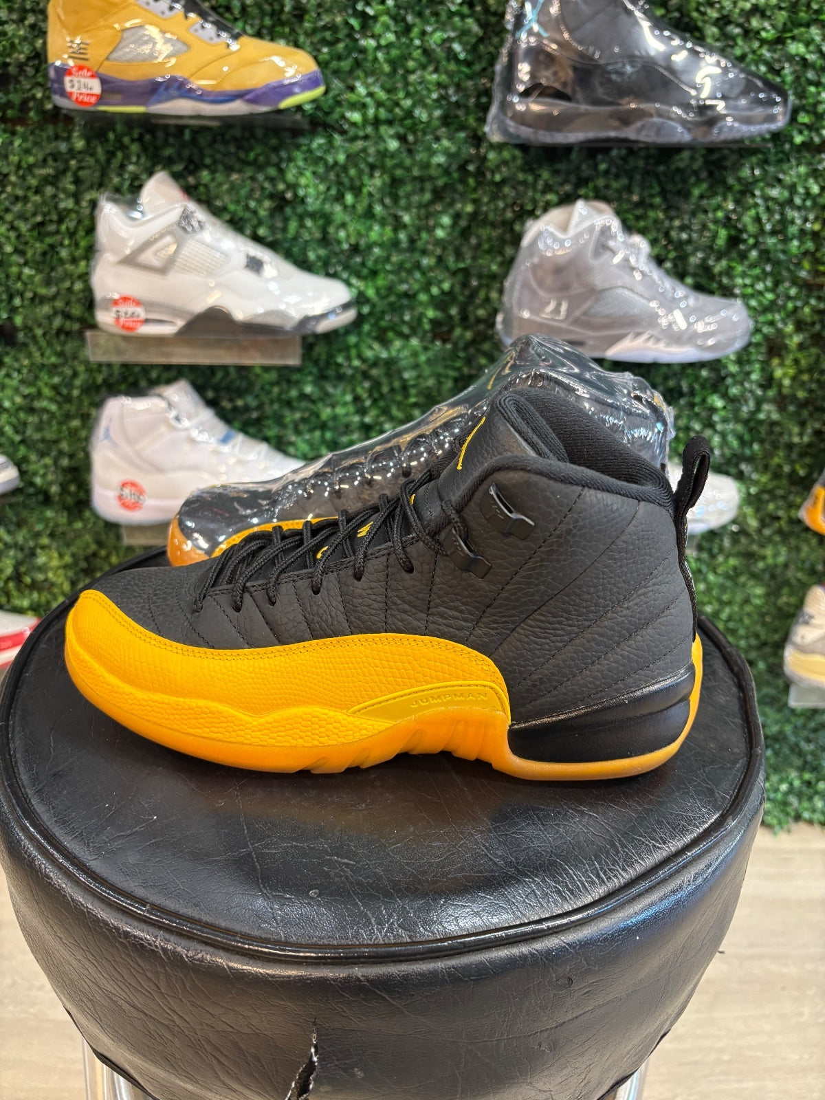 Jordan 12 “University Gold” GS 7